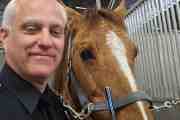 LAPD Horse Patrol