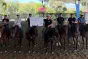 Serving LAPD Horse Patrol Officers